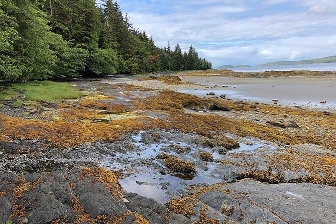 Ketchikan Electric Bike and Rain Forest Hike Ecotour - Guides who shape the day