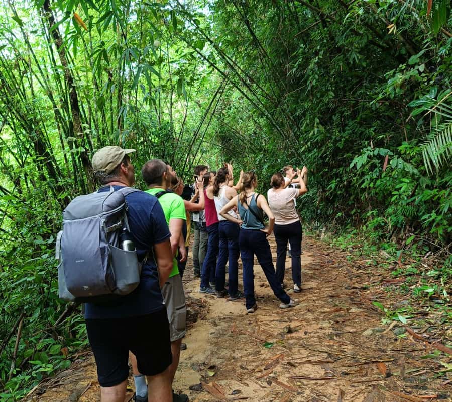 Khao Sok: Private Day Trekking, Jungle Dinner & Night Safari - Who Should Book This Experience