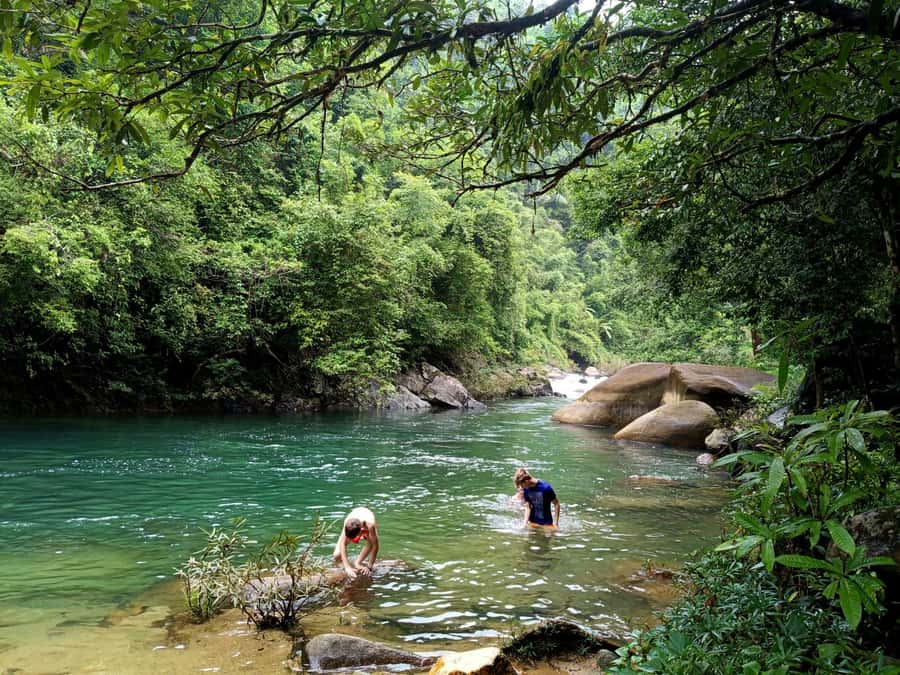 Khao Sok: Private Day Trekking, Jungle Dinner & Night Safari - Two Hours on Foot in Khao Sok National Park