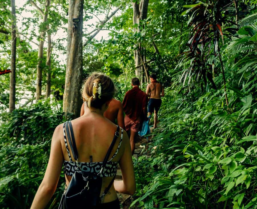 Khao Sok: Private Day Trekking, Jungle Dinner & Night Safari - The Walking, Weather, and Comfort Questions