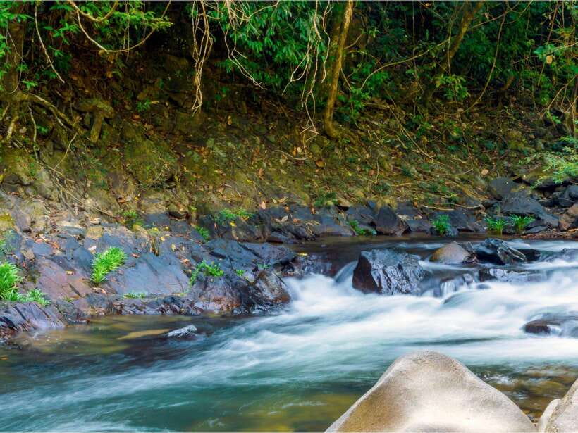 Khao Sok: Private Waterfalls and Wildlife Half-Day Trek - Wildlife you might actually see