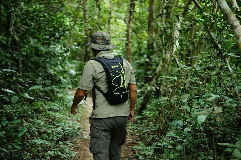 Khao Sok: Private Waterfalls and Wildlife Half-Day Trek - Private or small group: which format suits you?