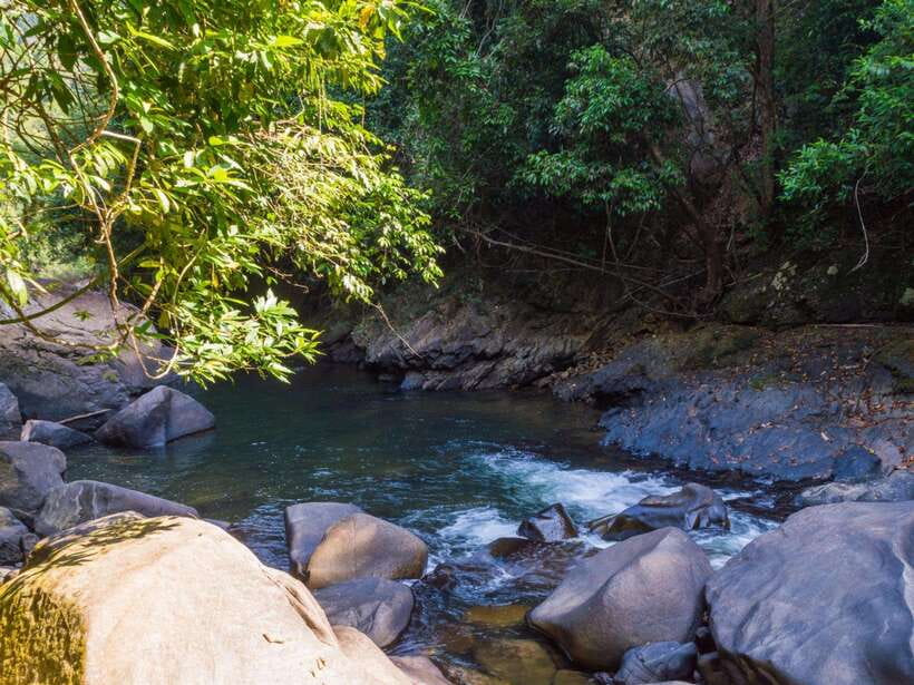 Khao Sok: Private Waterfalls and Wildlife Half-Day Trek - What to pack and how to prepare