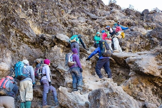 Kilimanjaro 7 Day Private Trekking Experience - Day six: Uhuru Peak and the long descent