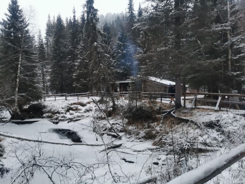 Korouoma Canyon Frozen Waterfalls Hike & Private Teepee BBQ - Key points at a glance