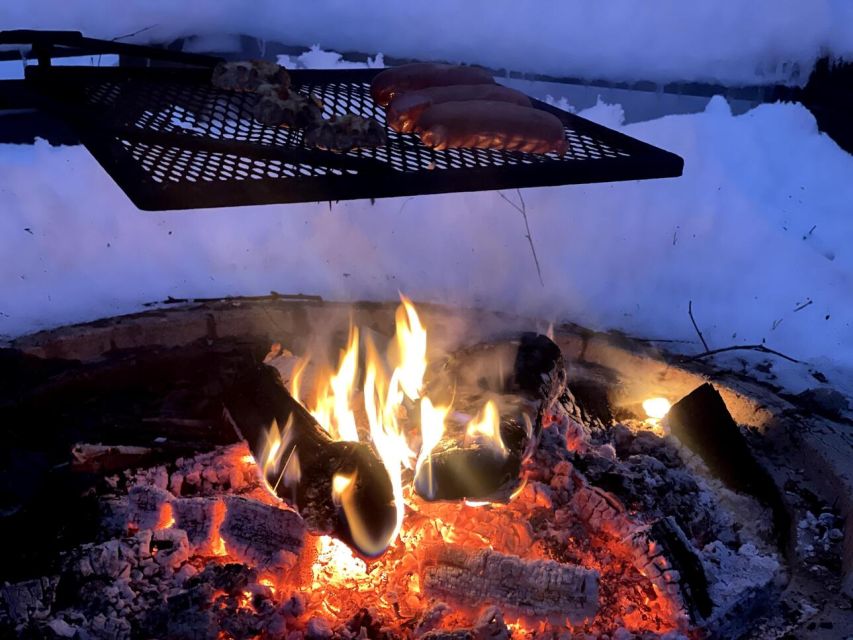 Korouoma Canyon Frozen Waterfalls Hike & Private Teepee BBQ - Booking advice and final verdict