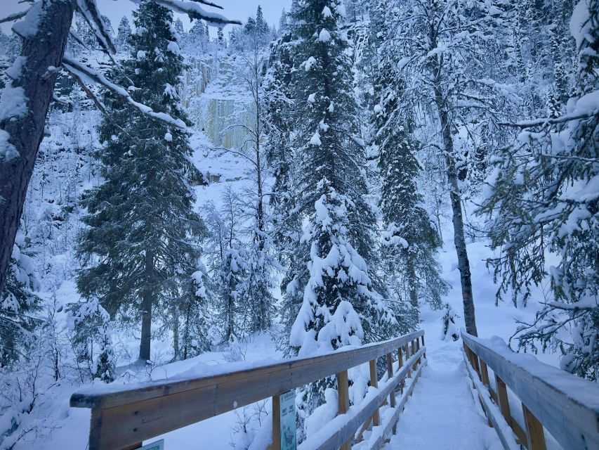 Korouoma: Frozen Waterfall Hiking Tour - Key points to know before you book