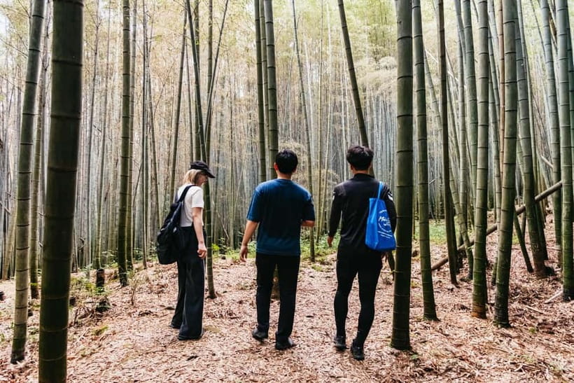 Kyoto: 3-Hour Fushimi Inari Shrine Hidden Hiking Tour - Who should book this Fushimi Inari hike?