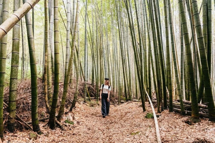 Kyoto: 3-Hour Fushimi Inari Shrine Hidden Hiking Tour - Reaching Mount Inari through the torii gates
