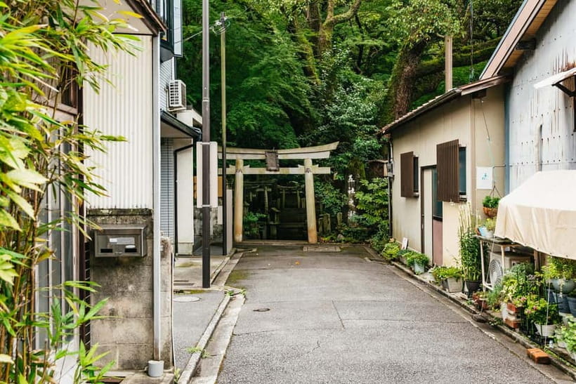 Kyoto: 3-Hour Fushimi Inari Shrine Hidden Hiking Tour - What the guide adds beyond directions