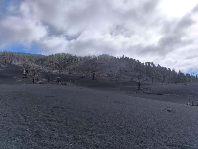 La Palma: Tajogaite Volcano Guided Hike - Walking into the Cumbre Vieja volcanic zone
