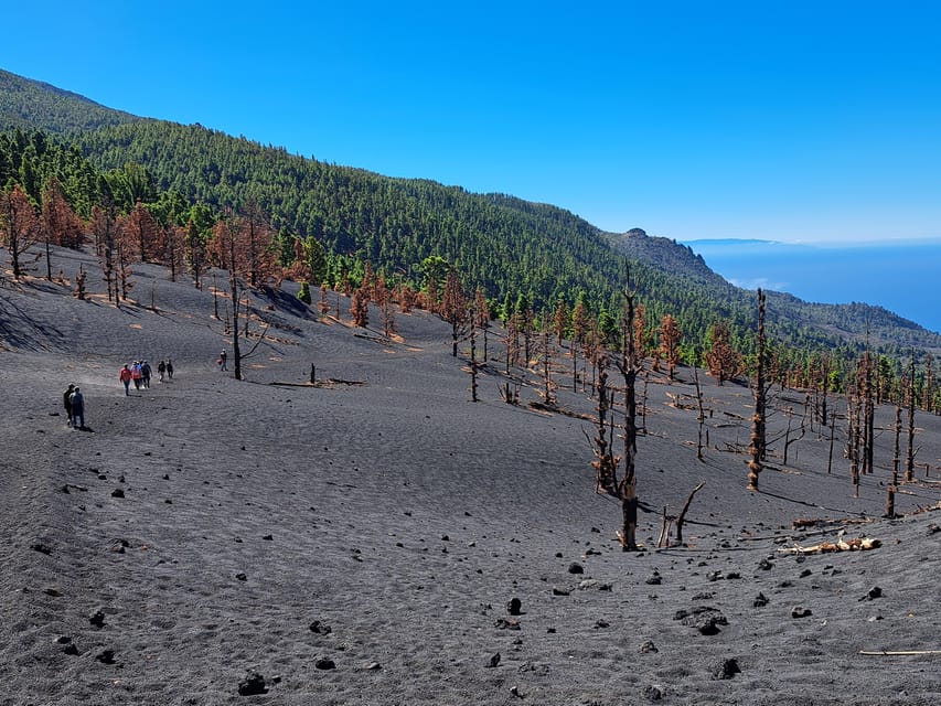La Palma: Tajogaite Volcano Guided Trek - Key things to know before you book