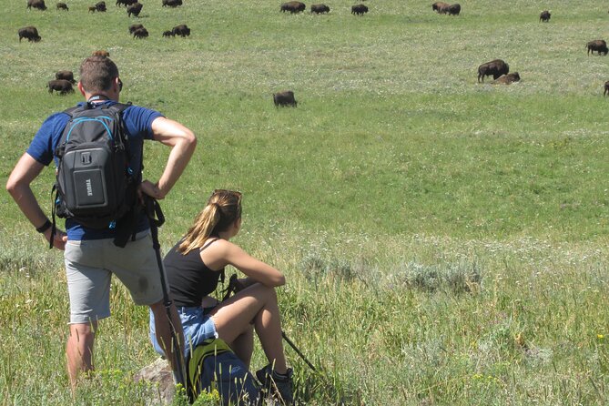 Lamar Valley Safari Hiking Tour with Lunch - What the Six Hours Actually Include