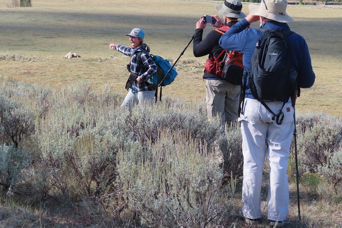 Lamar Valley Safari Hiking Tour with Lunch - Guides Who Add Real Value