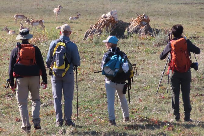 Lamar Valley Safari Hiking Tour with Lunch - Who Will Enjoy This Hike Most