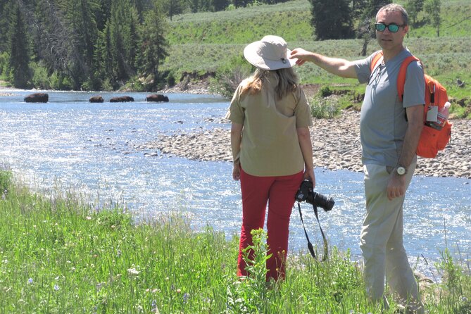 Lamar Valley: Safari Hiking Tour with Lunch - The 8 a.m. start at Lamar River Trailhead