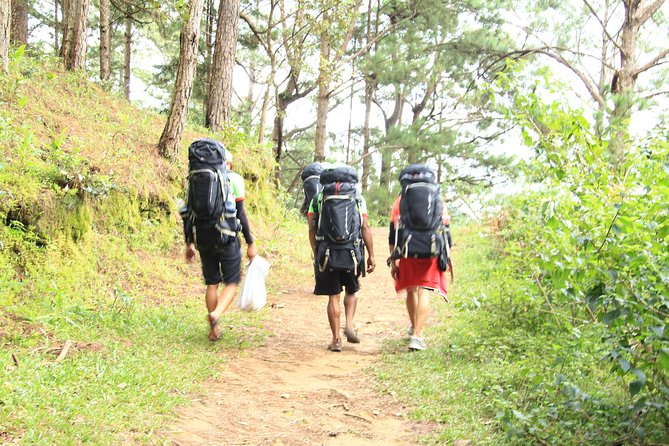 Langbiang Green Trekking Tours - Signature Trekking Da Lat - Pine forest trails and the first climb