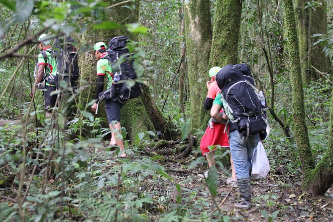 Langbiang Green Trekking Tours - Signature Trekking Da Lat - Radar Peak at 2,167 meters