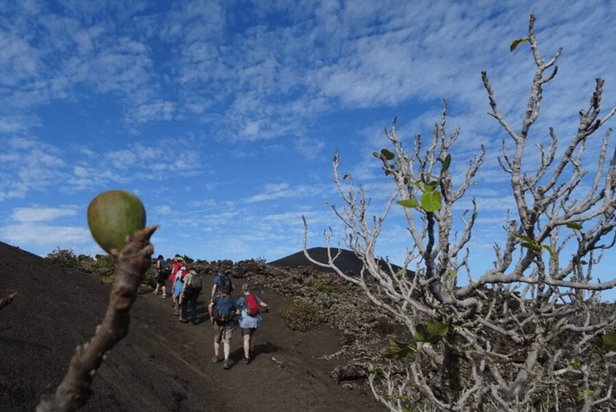 Lanzarote: Hike Across Timanfaya's Volcanic Landscapes - What the $50 price really buys you