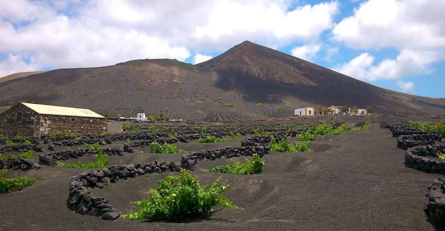 Lanzarote: La Geria Vineyards Hiking Tour - Is $55 a fair price?