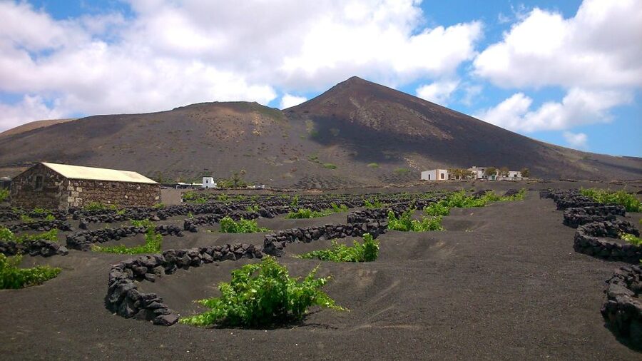 Lanzarote: La Geria Vineyards Hiking Tour - Meeting at Bodega Rubicón at 9:30 AM
