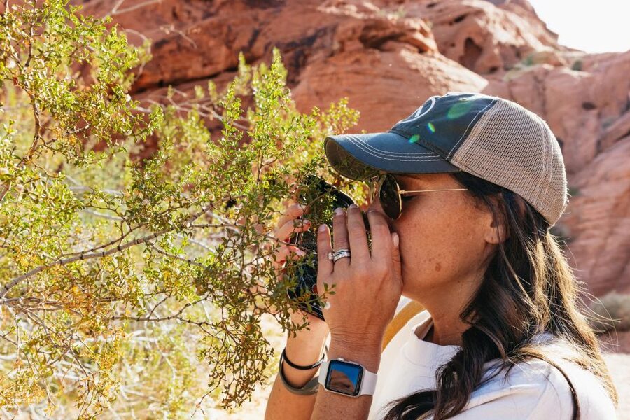 Las Vegas: Valley of Fire Guided Hike with Drinks and Snacks - What the guide adds to the day