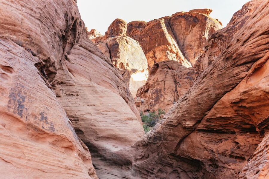 Las Vegas: Valley of Fire Guided Hike with Drinks and Snacks - Who should book this Valley of Fire hike?