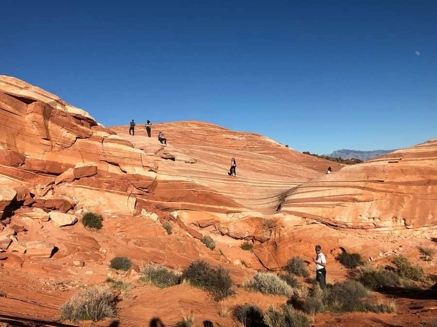 Las Vegas: Valley of Fire Half-Day Guided Hike with Pickup - Key points at a glance