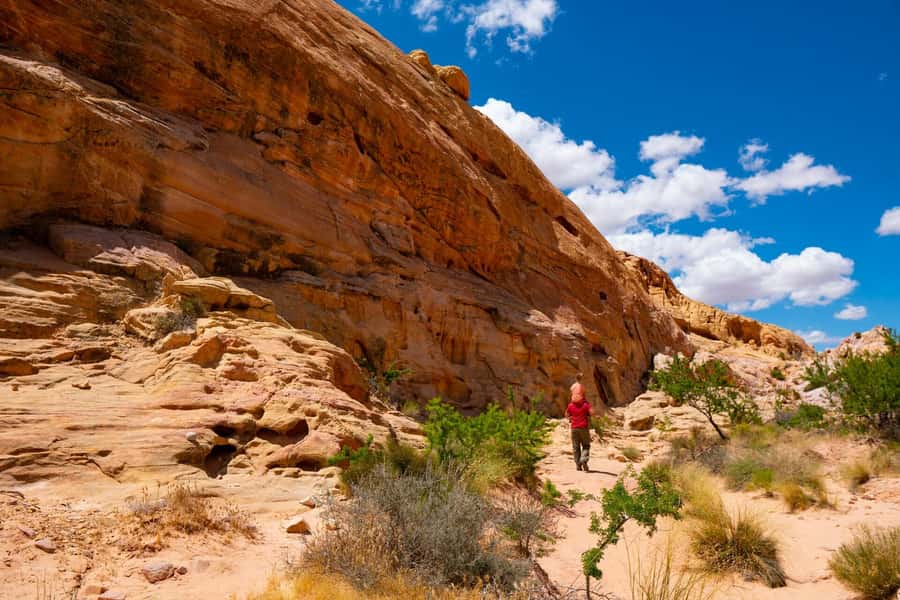 Las Vegas: Valley of Fire Half-Day Guided Hike with Pickup - Pickup from Las Vegas and the small-group advantage