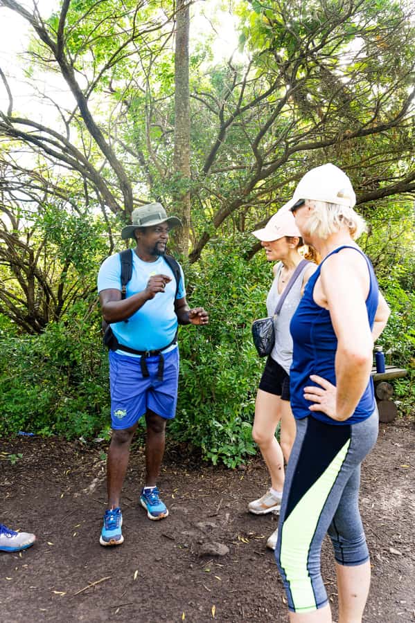 Le Morne Brabant: UNESCO Mountain Hike & Local Guides - The summit and the 360-degree reward