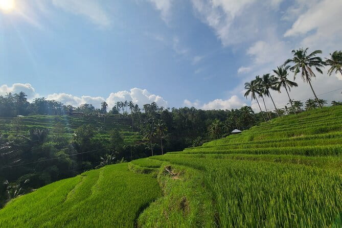 Lemukih Hidden Trekking Waterslide Sekumpul and Fiji Waterfall - Fiji Waterfall and the quieter water stops