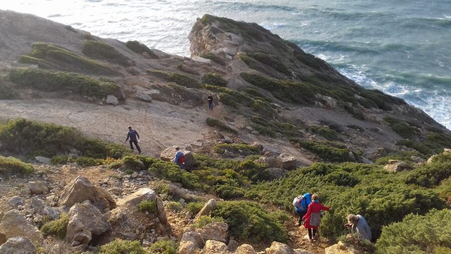 Lisbon: Hiking in Arrábida Natural Park - Transportation, Timing, and What You Bring