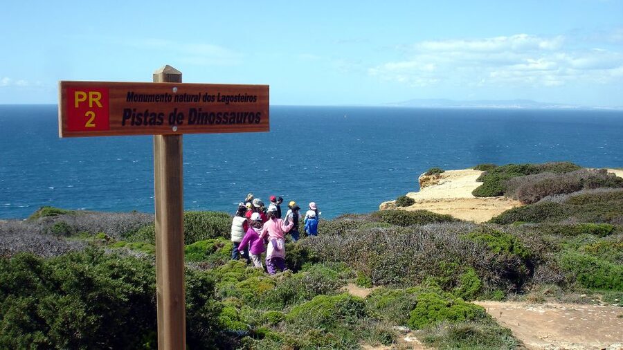 Lisbon: Hiking in Arrábida Natural Park - Is $47 a Fair Price?