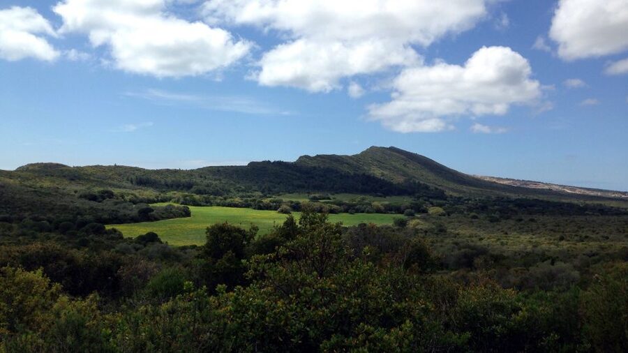 Lisbon: Hiking in Arrábida Natural Park - Guides Who Turn Plants and Rocks Into Stories