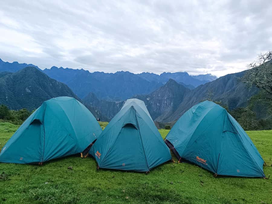 Machu Picchu: 5-Day Salkantay Trek with Panoramic Train - Day 5: Machu Picchu and the panoramic train