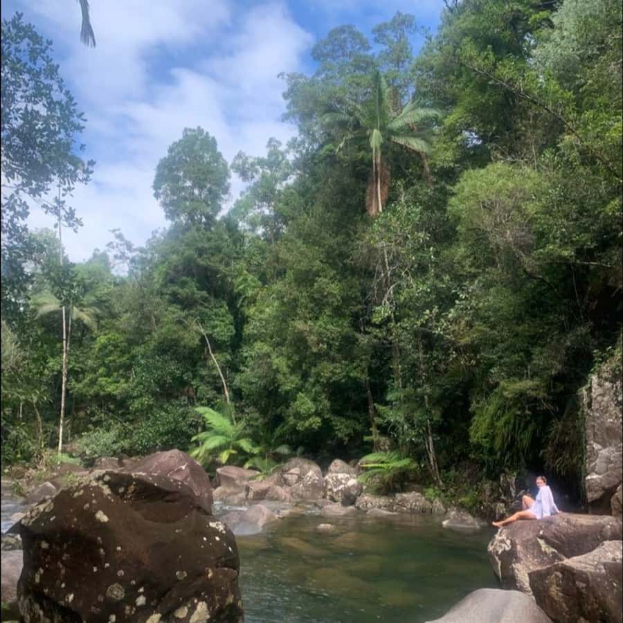 Mackay: Finch Hatton Gorge Hike, Swim & Platypus Adventure - Key things to know before you book