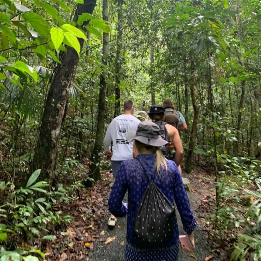 Mackay: Finch Hatton Gorge Hike, Swim & Platypus Adventure - From Mackay into Yuwi country