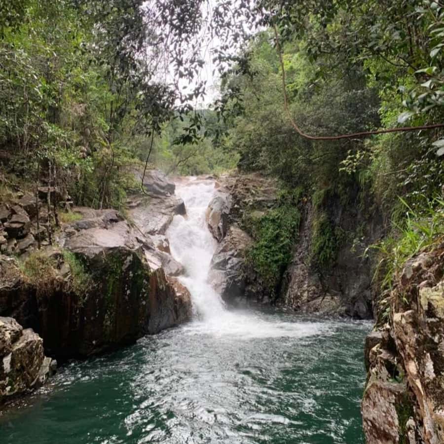 Mackay: Finch Hatton Gorge Hike, Swim & Platypus Adventure - Swimming under the falls