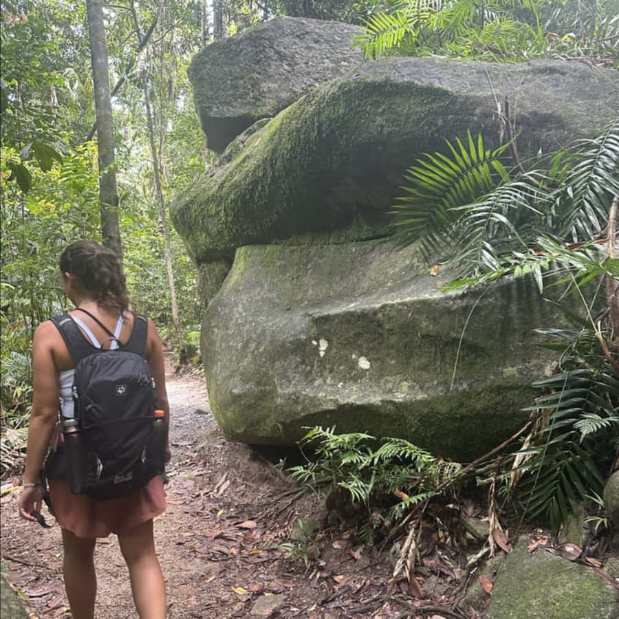 Mackay: Finch Hatton Gorge Hike, Swim & Platypus Adventure - Finch Hatton Gorge and the waterfall walk