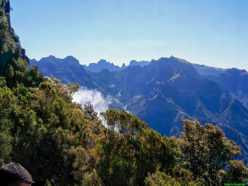Madeira: Pico Arieiro to Pico Ruivo Hike - Coffee, a Traditional Bar, and the Practical Details