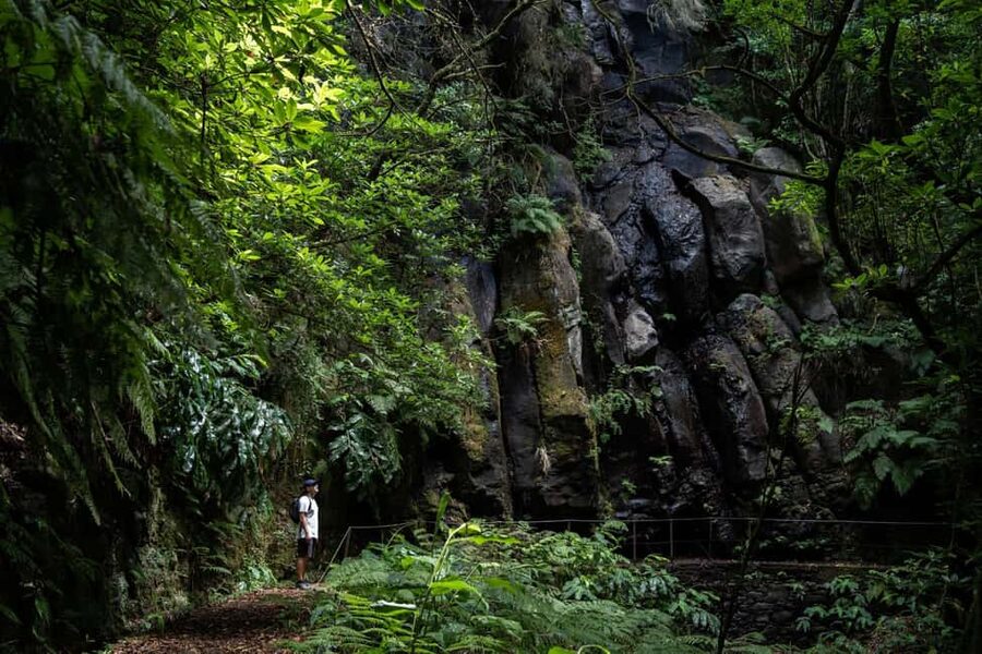 Madeira: PR 9 - Levada do Caldeirão Verde Hike Transfer - Quick take: what matters most