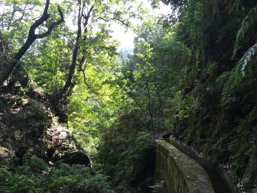 Madeira: PR 9 - Levada do Caldeirão Verde Hike Transfer - Returning to Pico das Pedras and your hotel
