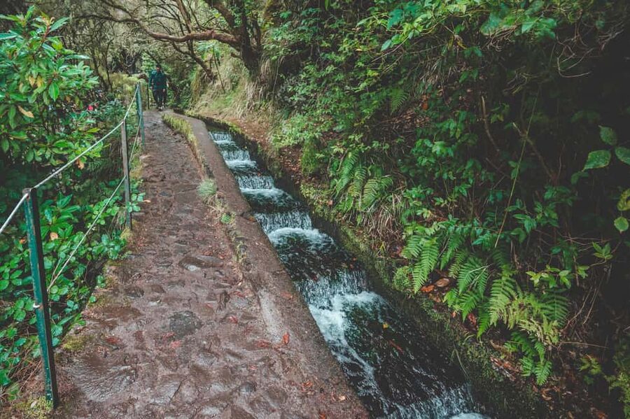 Madeira: Rabaçal Valley and the 25 Fountains Hike - Key points at a glance
