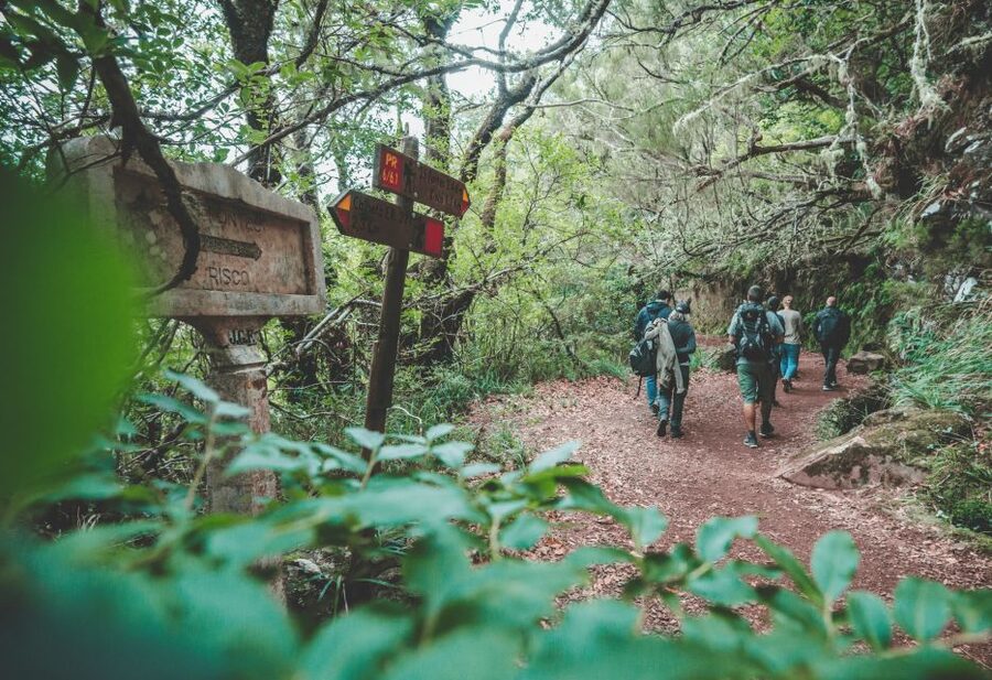 Madeira: Rabaçal Valley and the 25 Fountains Hike - Who should book this walk?