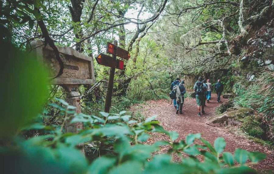 Madeira: Rabaçal Valley and the 25 Fountains Hike - The long ride to Rabaçal