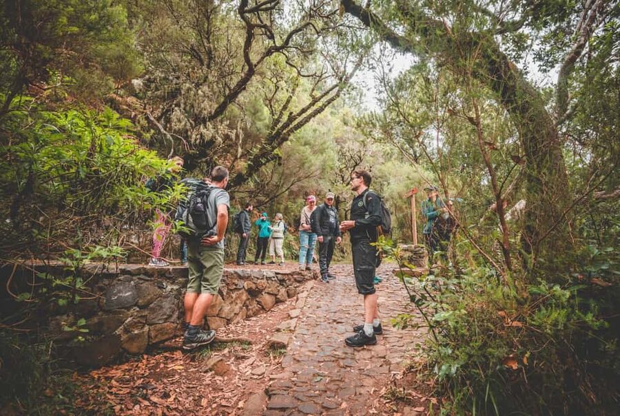 Madeira: Rabaçal Valley and the 25 Fountains Hike - Entering the Laurissilva Forest