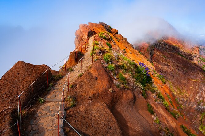 Madeira Stairway to Heaven to Larano Hike Mountain to Sea - Key points to know before booking