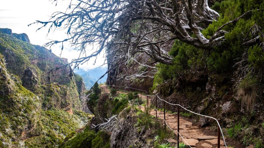 Madeira Stairway to Heaven to Larano Hike Mountain to Sea - Should you book the Stairway to Heaven and Larano hike?