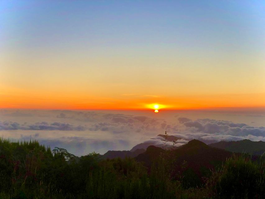 Madeira: Sunrise at Pico do Arieiro & Hike Larano trail - Larano Trail: 7 kilometers of coast and forest