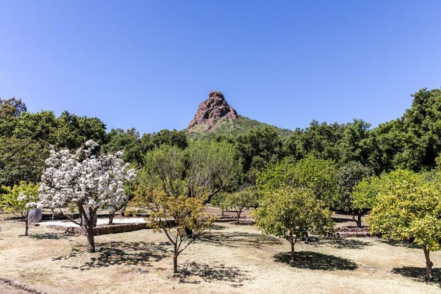 Malibu: Guided Vineyard Hike with Photo Stops and Wine - The organic garden and working property